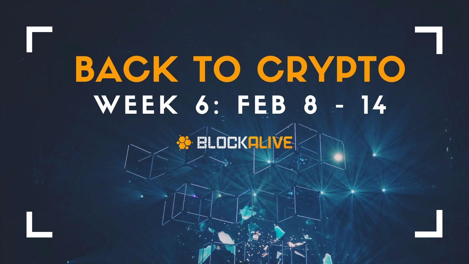 february 6 crypto news